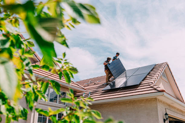 Best Roof Gutter Cleaning  in Solon, IA