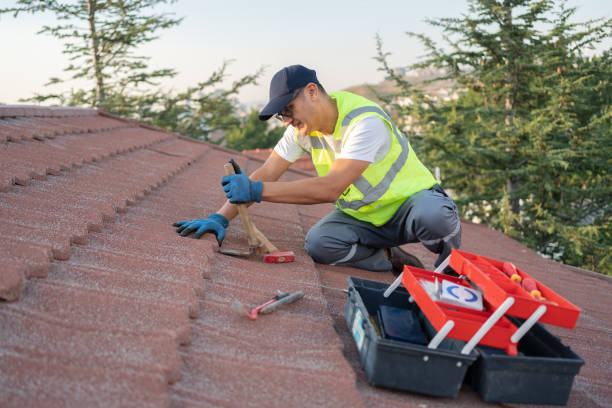 Best Emergency Roof Repair  in Solon, IA