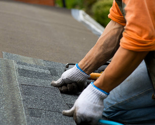 Best New Roof Installation  in Solon, IA